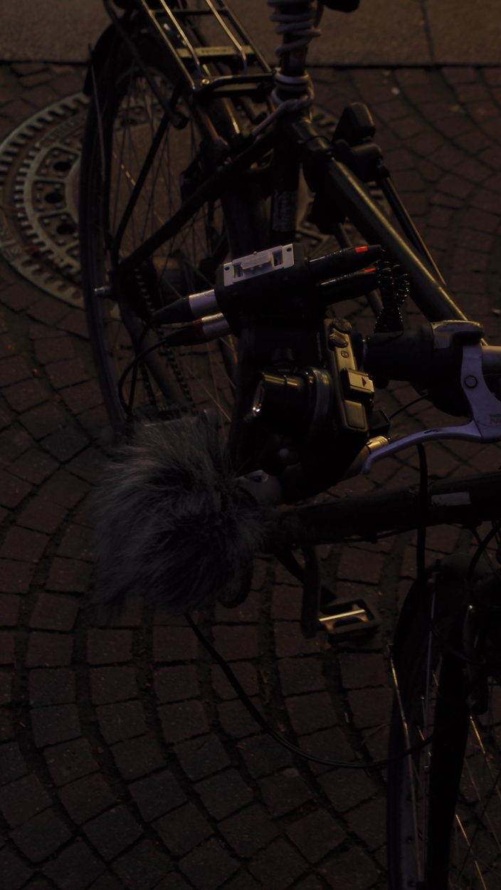 2019-12-11 Spatzen II (Fieldrecording Video)